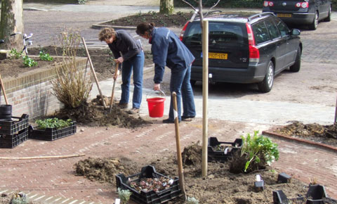 tuin inplanten